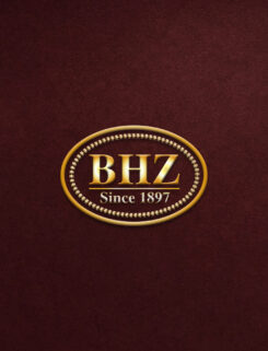 BHZ-logo